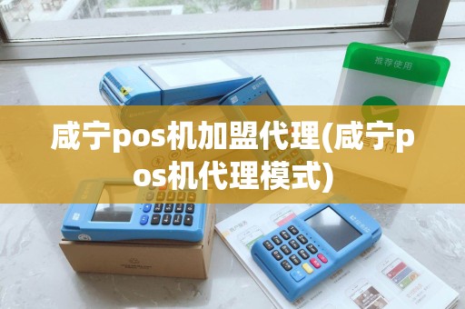 咸宁pos机加盟代理(咸宁pos机代理模式)