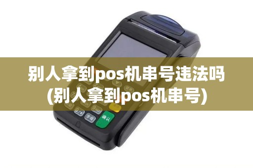 别人拿到pos机串号违法吗(别人拿到pos机串号)