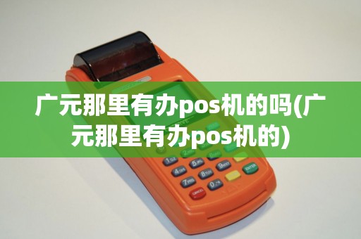 广元那里有办pos机的吗(广元那里有办pos机的)