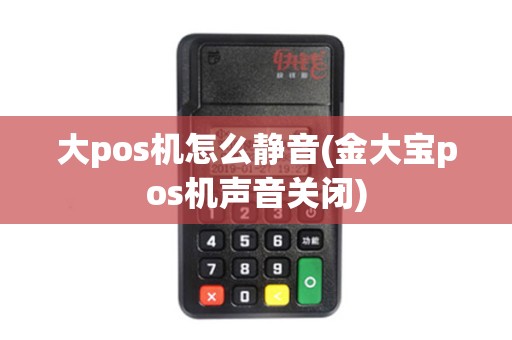 大pos机怎么静音(金大宝pos机声音关闭)