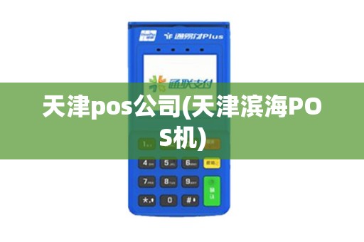 天津pos公司(天津滨海POS机)