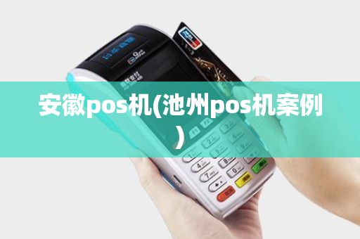 安徽pos机(池州pos机案例)