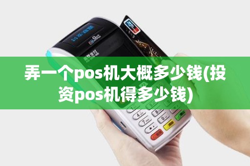 弄一个pos机大概多少钱(投资pos机得多少钱)