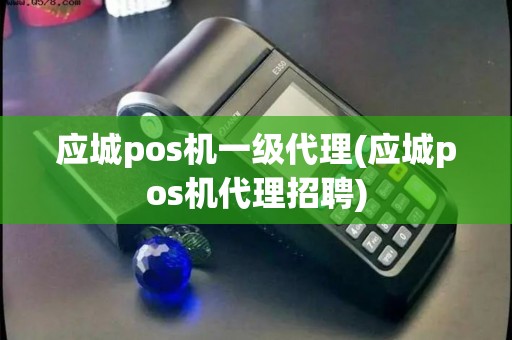 应城pos机一级代理(应城pos机代理招聘)