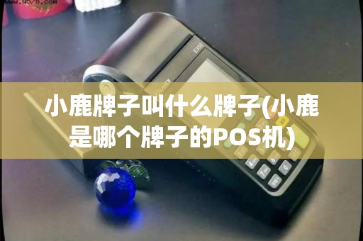 小鹿牌子叫什么牌子(小鹿是哪个牌子的POS机)
