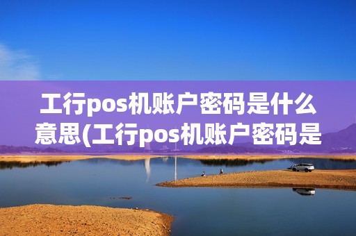工行pos机账户密码是什么意思(工行pos机账户密码是什么)