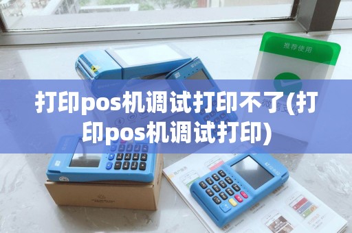 打印pos机调试打印不了(打印pos机调试打印)