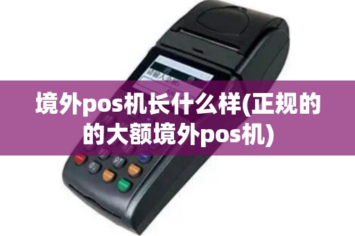 境外pos机长什么样(正规的的大额境外pos机)