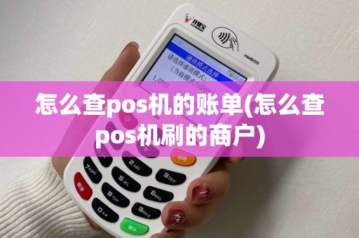 怎么查pos机的账单(怎么查pos机刷的商户)