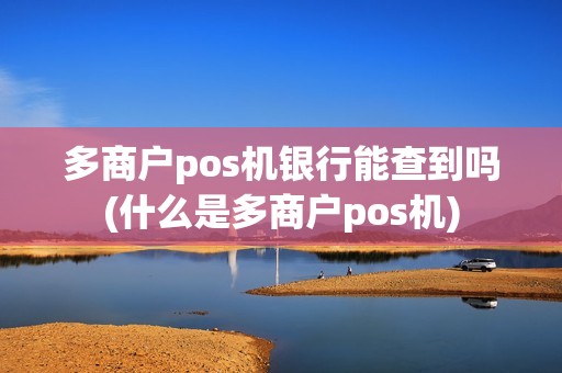 多商户pos机银行能查到吗(什么是多商户pos机)