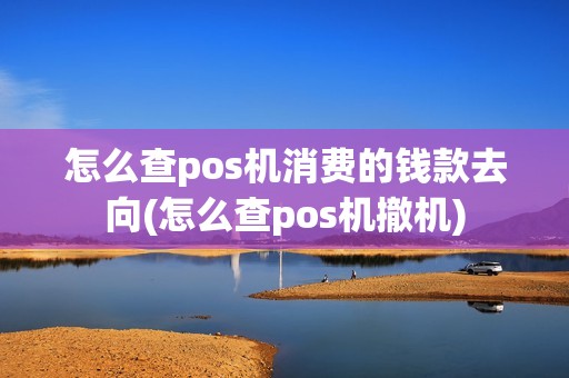 怎么查pos机消费的钱款去向(怎么查pos机撤机)