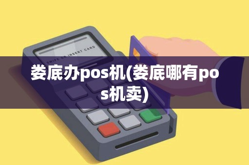 娄底办pos机(娄底哪有pos机卖)
