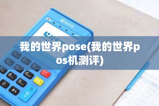 我的世界pose(我的世界pos机测评)
