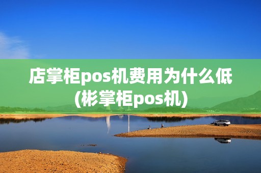 店掌柜pos机费用为什么低(彬掌柜pos机)