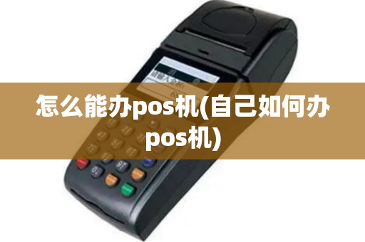 怎么能办pos机(自己如何办pos机)