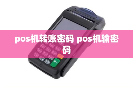 pos机转账密码 pos机输密码