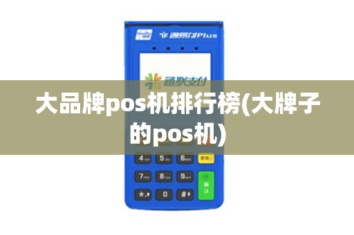 大品牌pos机排行榜(大牌子的pos机)