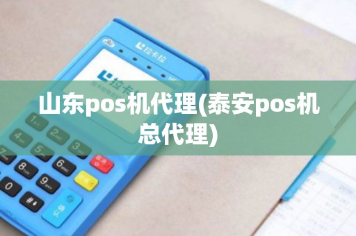 山东pos机代理(泰安pos机总代理)