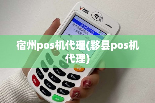 宿州pos机代理(黟县pos机代理)