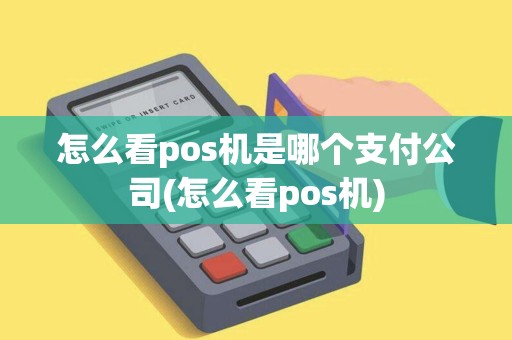怎么看pos机是哪个支付公司(怎么看pos机)