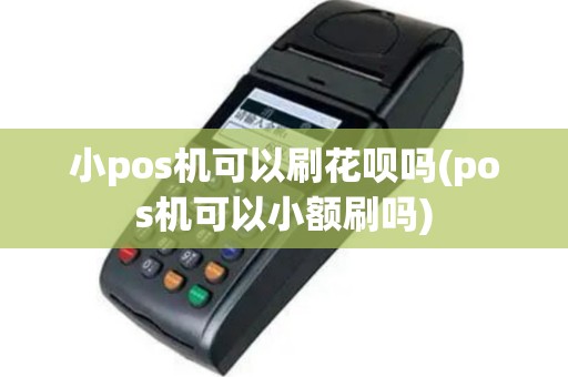 小pos机可以刷花呗吗(pos机可以小额刷吗)