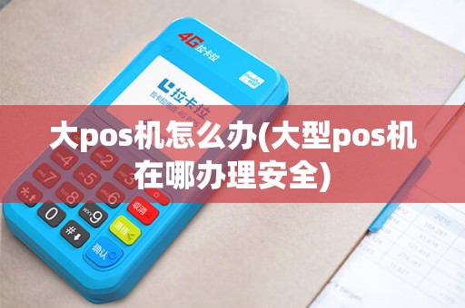 大pos机怎么办(大型pos机在哪办理安全)