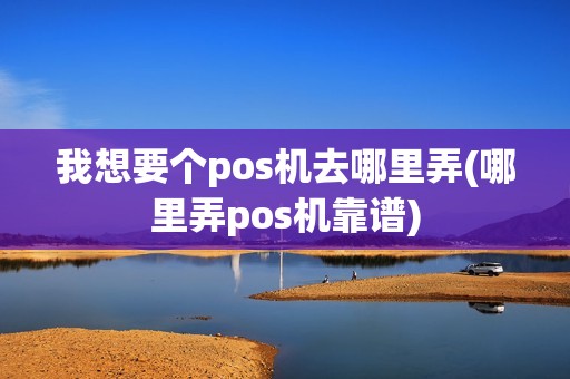 我想要个pos机去哪里弄(哪里弄pos机靠谱)