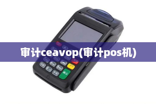 审计ceavop(审计pos机)