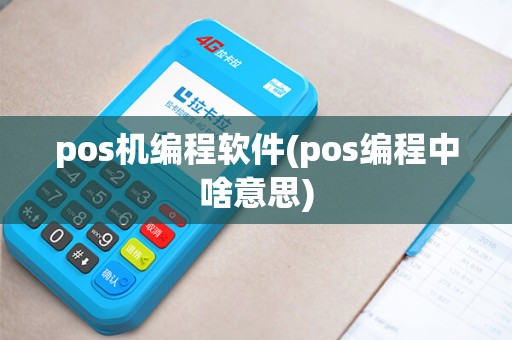 pos机编程软件(pos编程中啥意思)