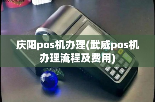庆阳pos机办理(武威pos机办理流程及费用)