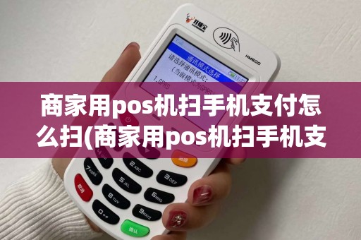 商家用pos机扫手机支付怎么扫(商家用pos机扫手机支付)