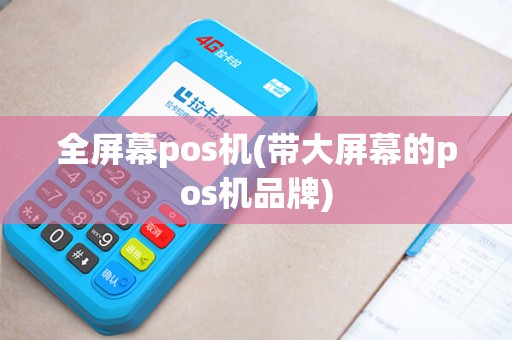全屏幕pos机(带大屏幕的pos机品牌)