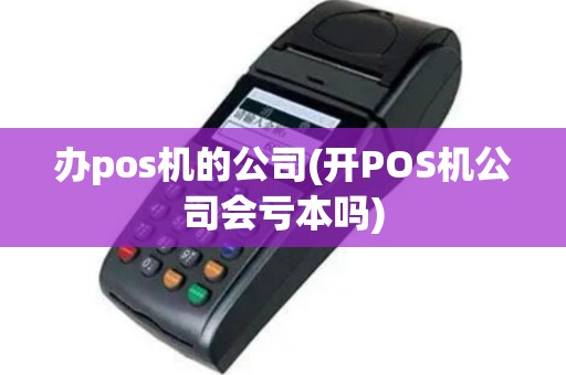 办pos机的公司(开POS机公司会亏本吗)