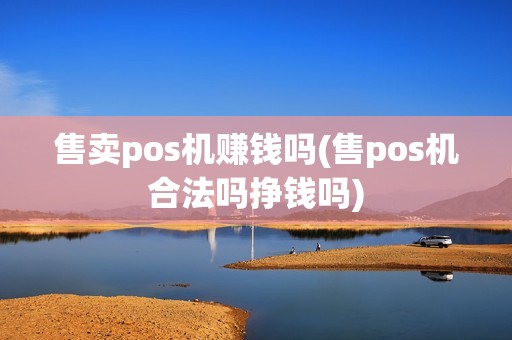 售卖pos机赚钱吗(售pos机合法吗挣钱吗)