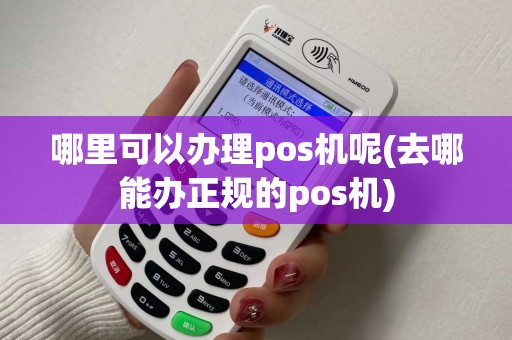 哪里可以办理pos机呢(去哪能办正规的pos机)