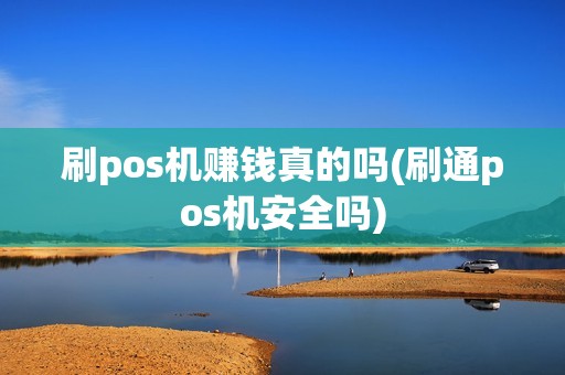 刷pos机赚钱真的吗(刷通pos机安全吗)
