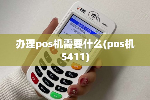 办理pos机需要什么(pos机5411)
