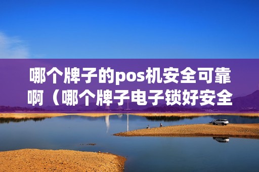哪个牌子的pos机安全可靠啊（哪个牌子电子锁好安全可靠）