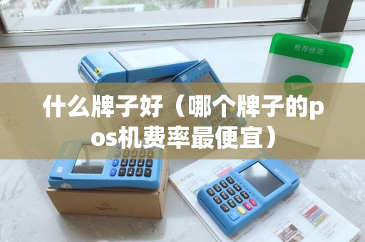 什么牌子好（哪个牌子的pos机费率最便宜）