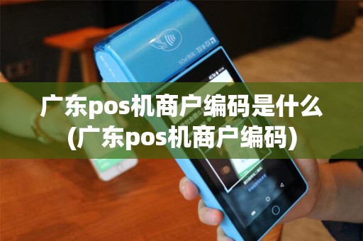 广东pos机商户编码是什么(广东pos机商户编码)