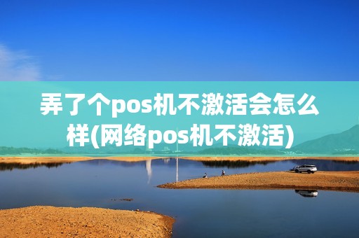 弄了个pos机不激活会怎么样(网络pos机不激活)