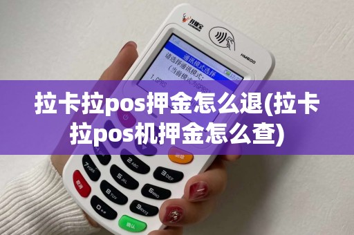 拉卡拉pos押金怎么退(拉卡拉pos机押金怎么查)