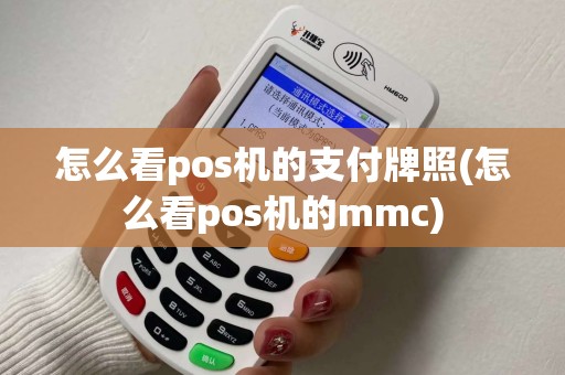 怎么看pos机的支付牌照(怎么看pos机的mmc)