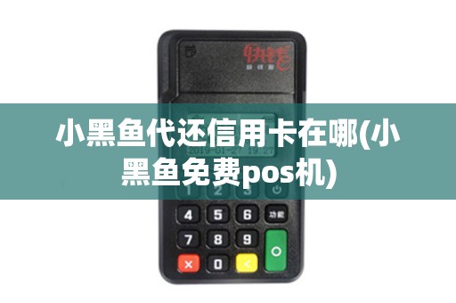小黑鱼代还信用卡在哪(小黑鱼免费pos机)