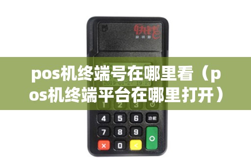 pos机终端号在哪里看（pos机终端平台在哪里打开）