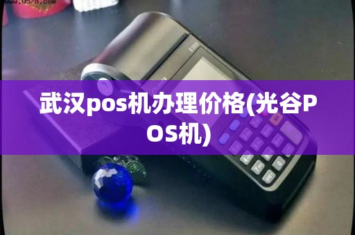 武汉pos机办理价格(光谷POS机)