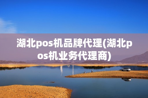 湖北pos机品牌代理(湖北pos机业务代理商)