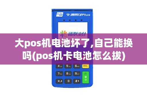 大pos机电池坏了,自己能换吗(pos机卡电池怎么拔)