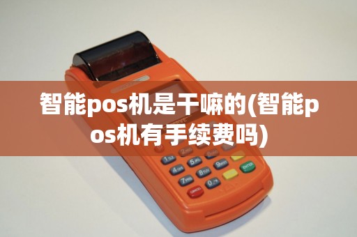 智能pos机是干嘛的(智能pos机有手续费吗)