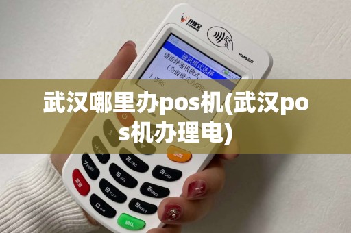 武汉哪里办pos机(武汉pos机办理电)